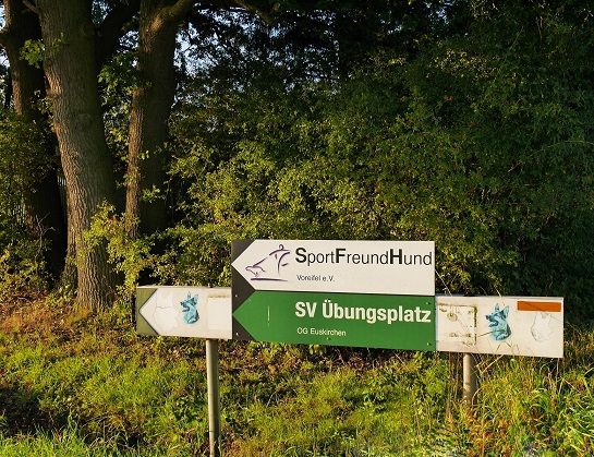 SV OG Euskirchen - SFH Voreifel 